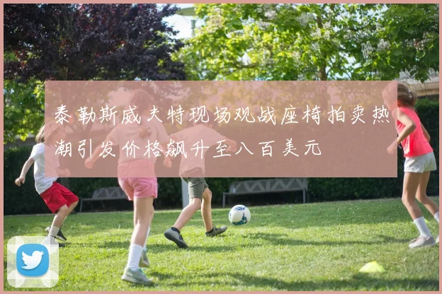泰勒斯威夫特现场观战座椅拍卖热潮引发价格飙升至八百美元