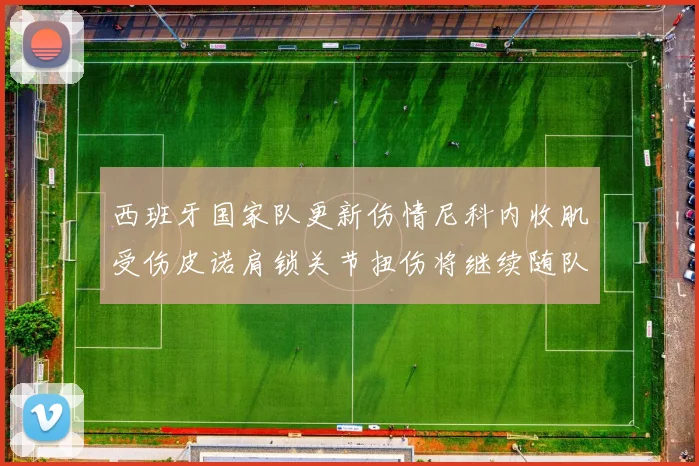 西班牙国家队更新伤情尼科内收肌受伤皮诺肩锁关节扭伤将继续随队训练